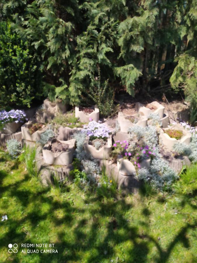 Ubytovanie Athéna Poprad Esterno foto