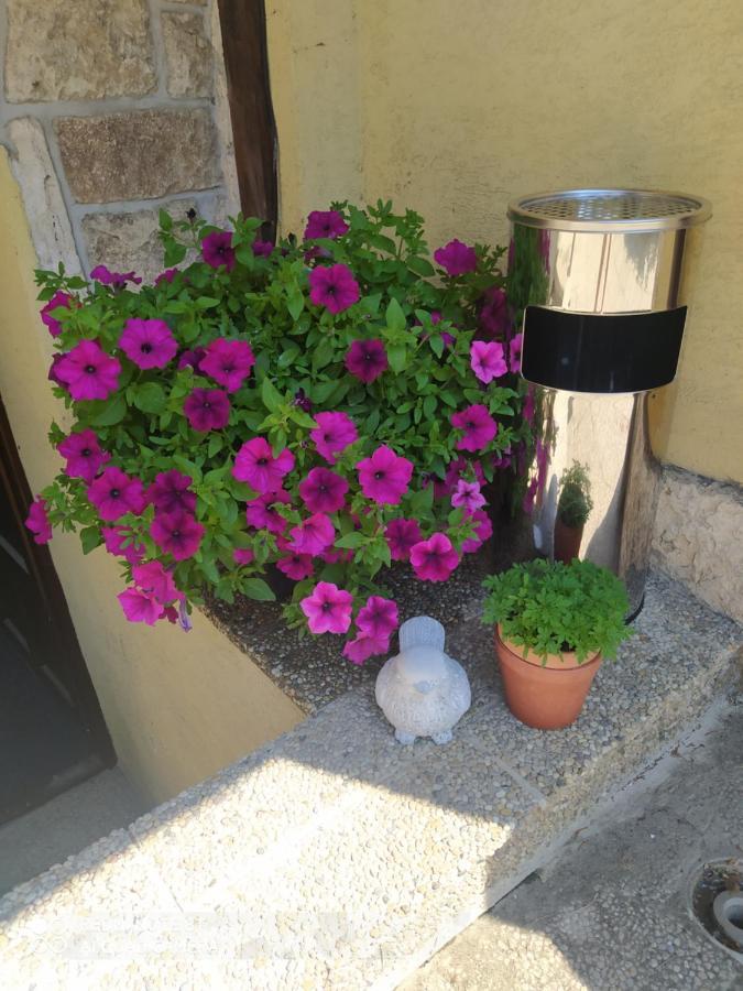 Ubytovanie Athéna Poprad Esterno foto